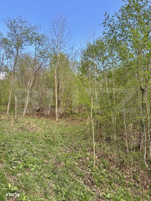 Teren extravilan, 2.8 ha, in zona Șandru, Campulung Moldovenesc