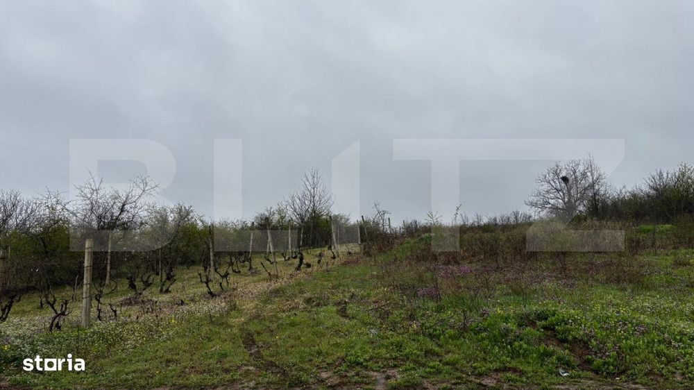 Teren intravilan 2000 mp, front 16,7 ml, vizibilitate la DN, Carcea