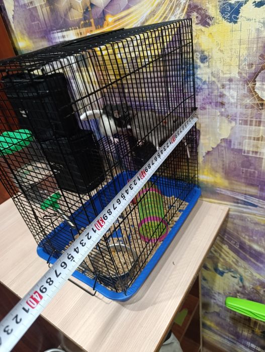 Продам клетку и крыс, можно отдельно.