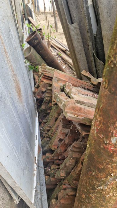 Vand tigla - Satu Mare