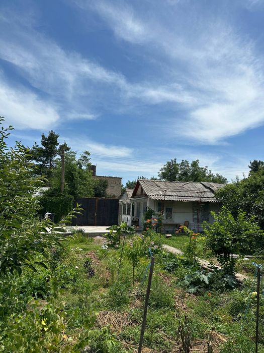 Hovli sotiladi 4,5 sotok tashmore