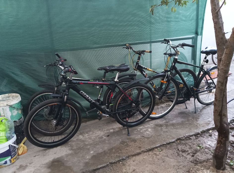 аренда велосипед + велосипед прокат, Velosiped ijara, prokatga oyiga