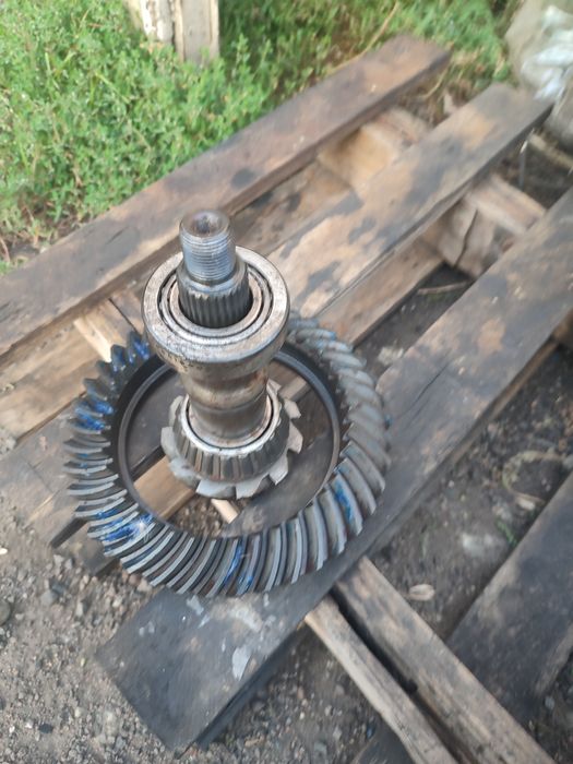 Главная пара дана44