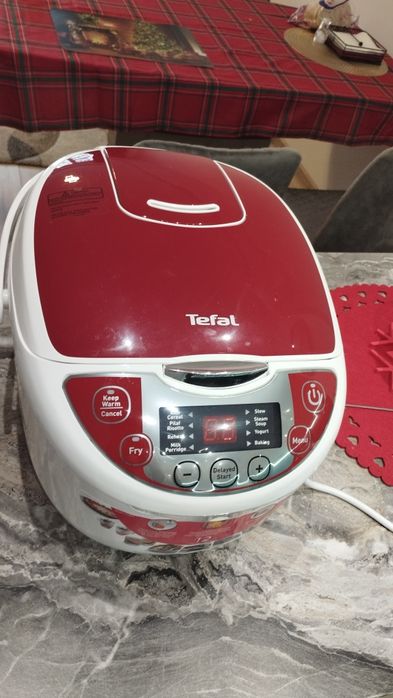 Мултикукър Тефал R19-1