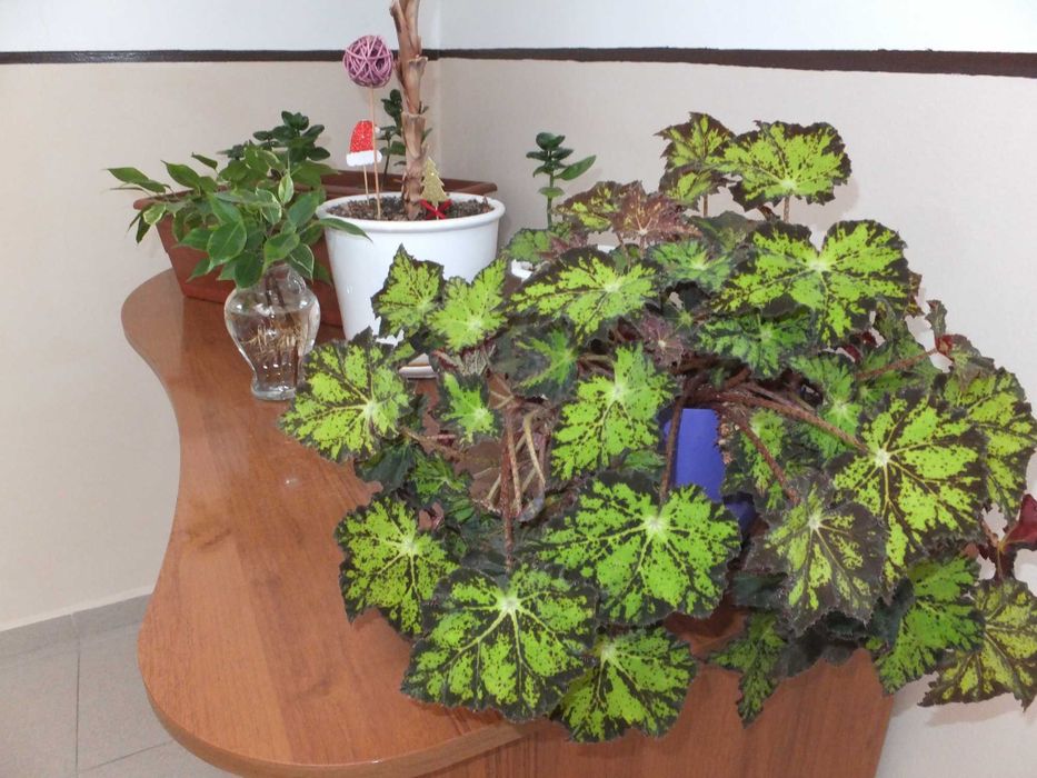 Fujifilm FinePix F770EXR 16 MPx