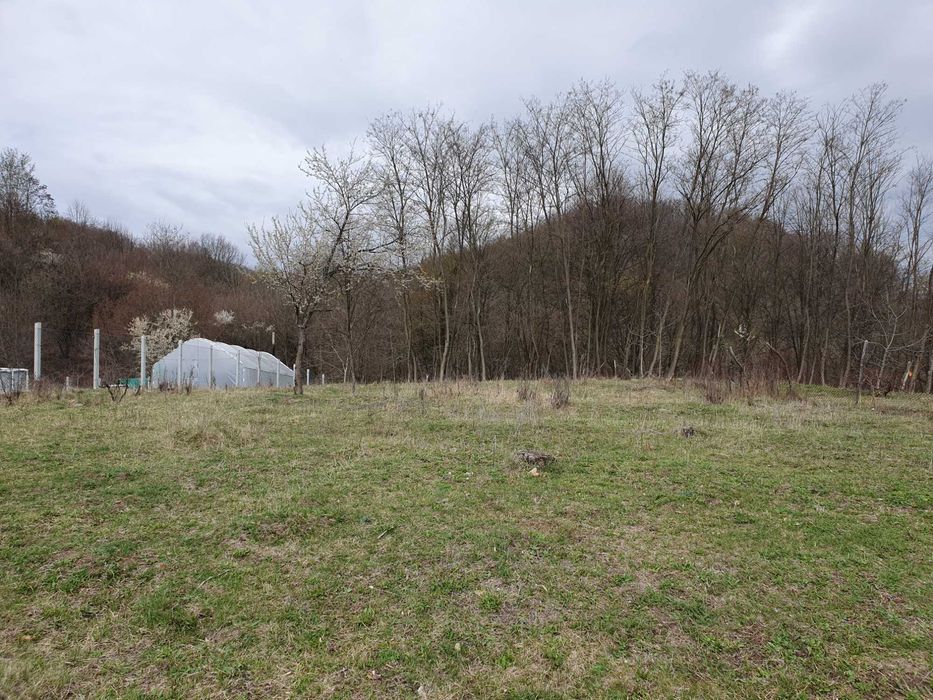 Teren deosebit, cadru superb, până la 6.670 mp, intravilan, str. Buda