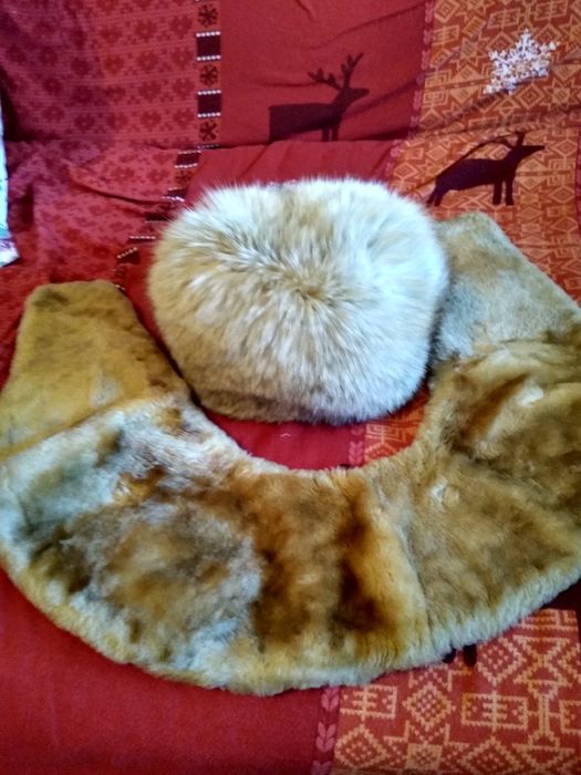 Guler blana captusit