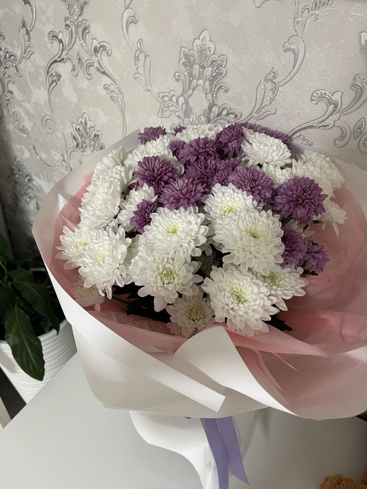 продам цветы свежые !!