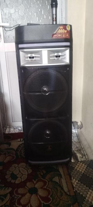 Bozorlarda 200$gacha sotilgan kolonka arzon narxda