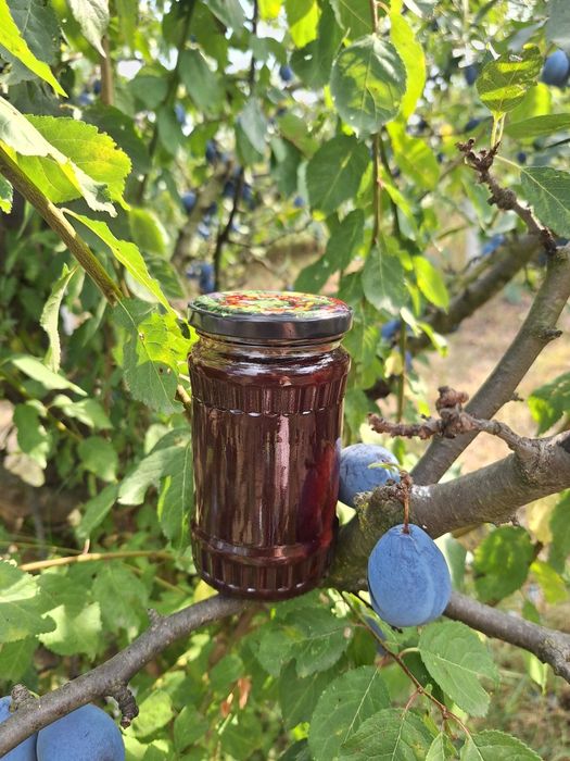Gem prune 100% natural
