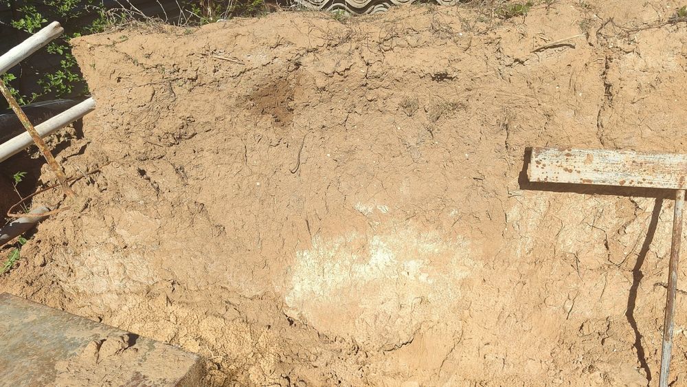 Сары балшық тегін