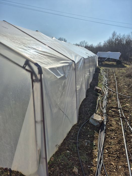 Оранжерия 1 бр 1602