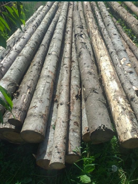 Capriori rotunzi din brad si salcam