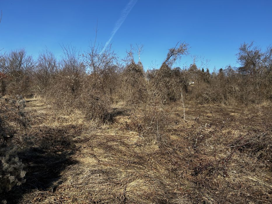 Продава се Парцел в Борово - 2484 кв.м за 3 €/кв.м - Снимка #5