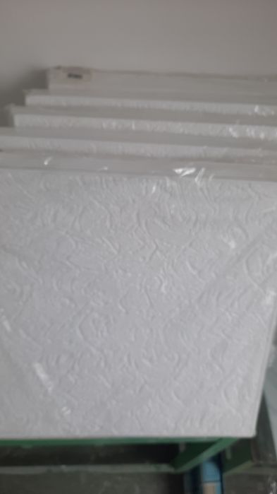 Placi pentru tavan fals