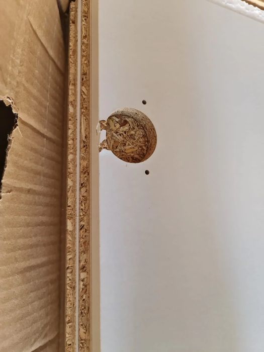 Dulap Harry, Alb, 101 cm latime