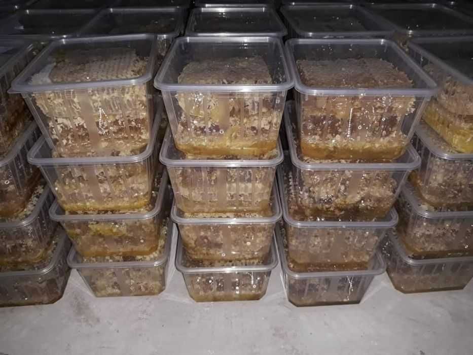 Polen, propolis , pastura, faguri cu miere ,   en-gros sau en-detail d