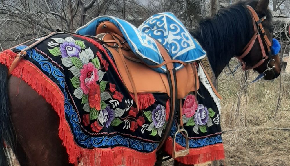 Седло  для лошади