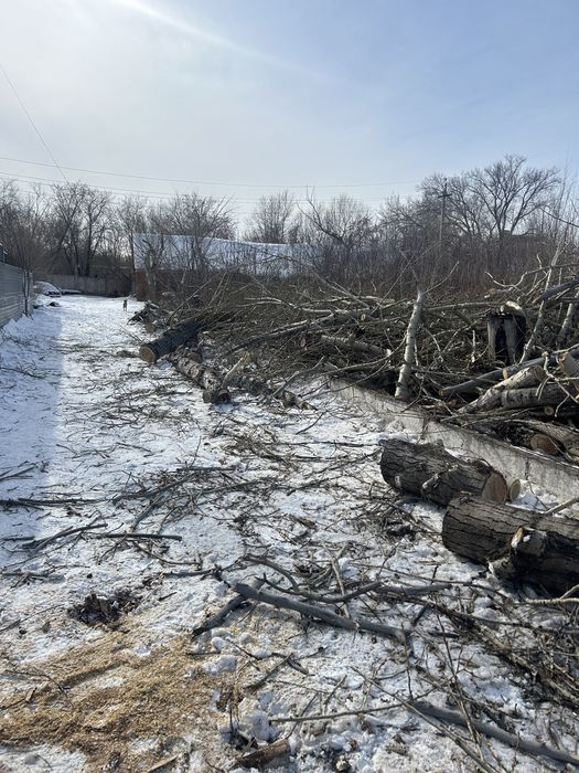 Дрова даром деревья пеньки самовывоз