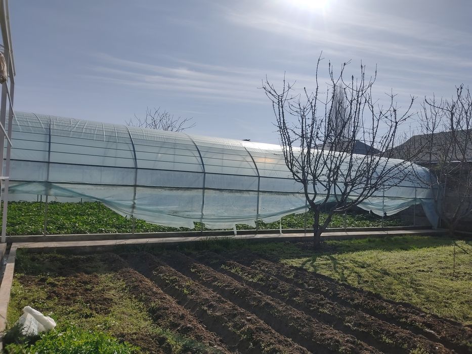 Parnik Issiqxona Teplitsa