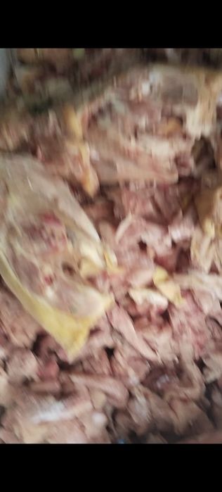 Корм для собак кошек куриная обрезь