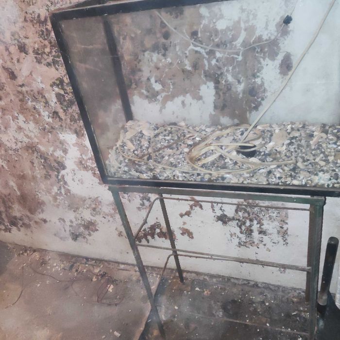 Голям аквариум със стойка