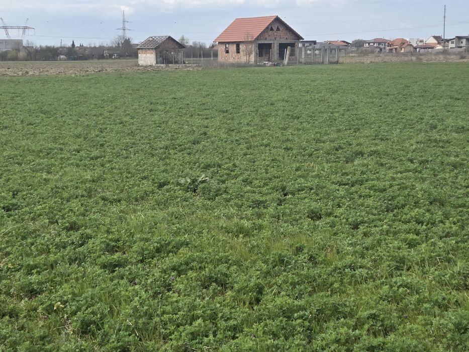 Vand teren extravilan la capatul strazii Aleco Russo in spate la noul CBA