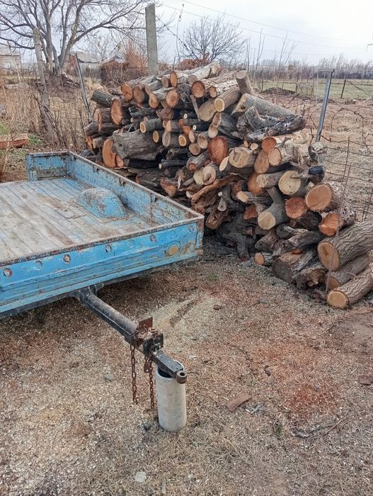 Срочна отинлар сотилади