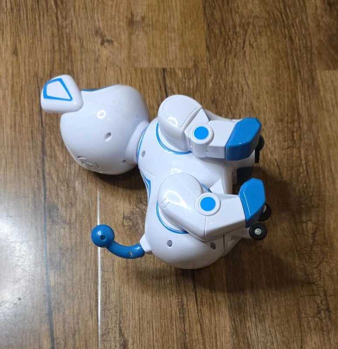 Catel plimbaret Tanfun