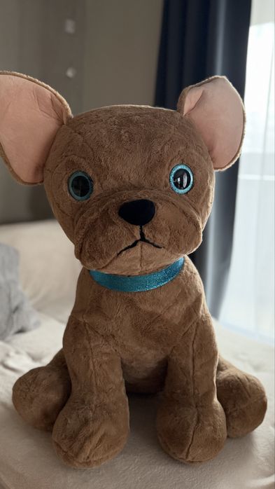 Vand usulet (Catel) de plus mare de 1 metru