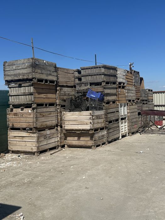 Box palet de vanzare