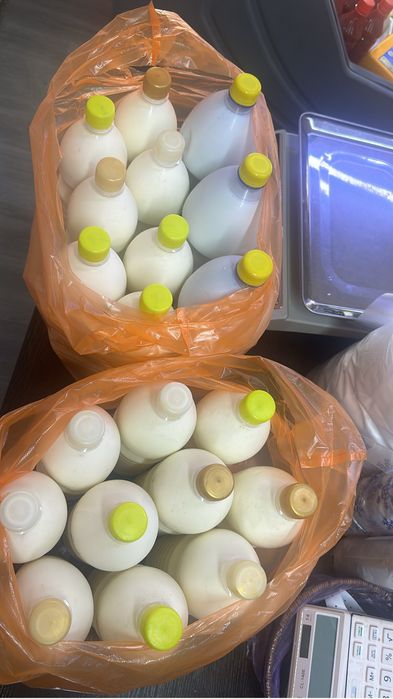 Кымыз шубат таза