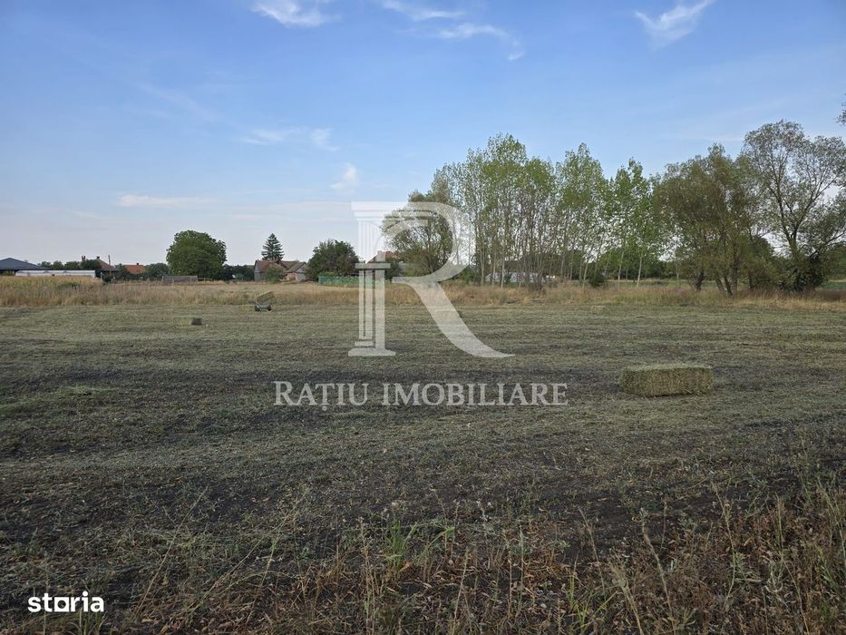 Teren intravilan 6.514mp | 39m front stradal | Ciocaia, Săcuieni