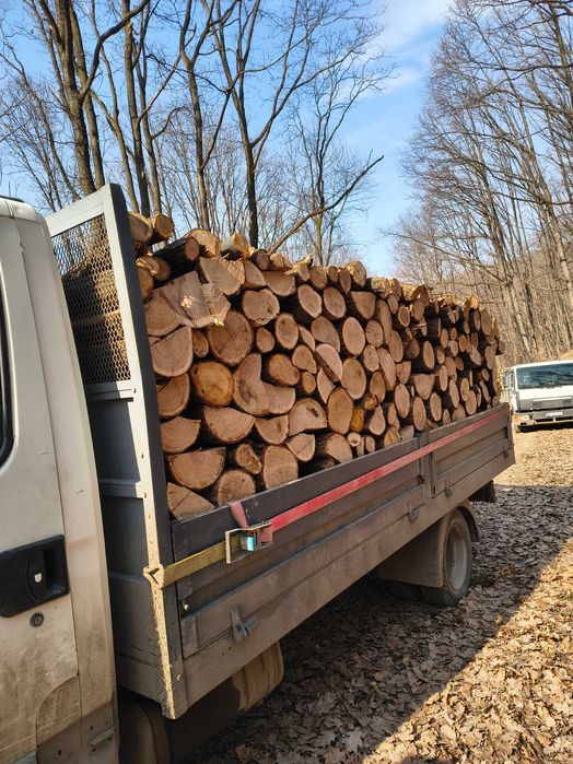 Lemn de foc stejar uscat