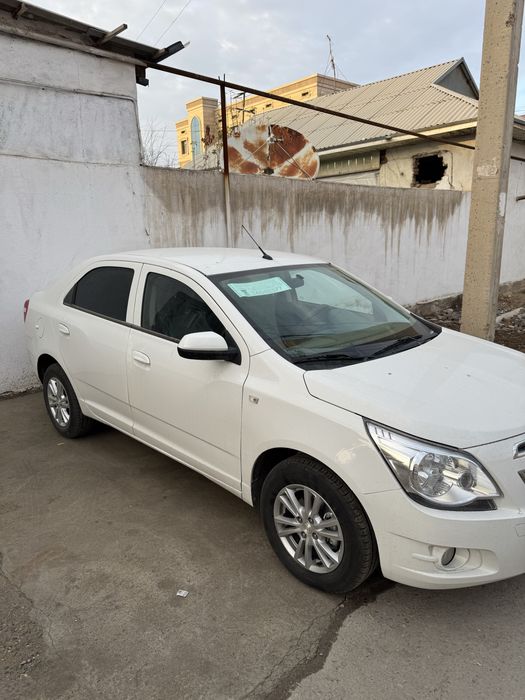 Cobalt Style MCM  AT plus