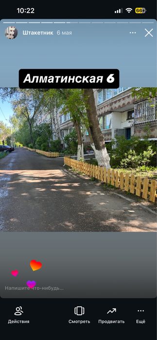 Евроштакетник, штакетник, сосна
