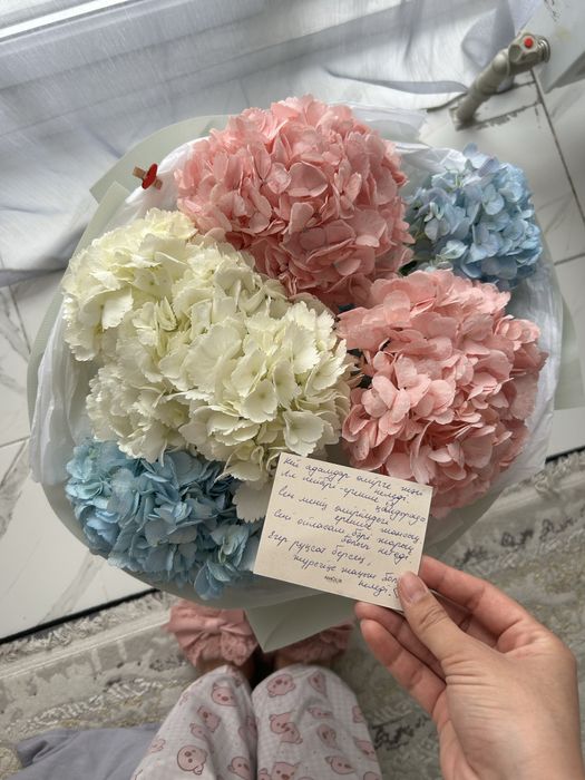 Гартензия ,очень свежый.