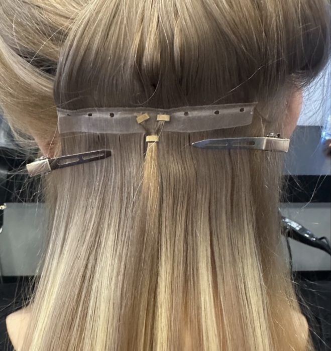 Montez extensii butterfly