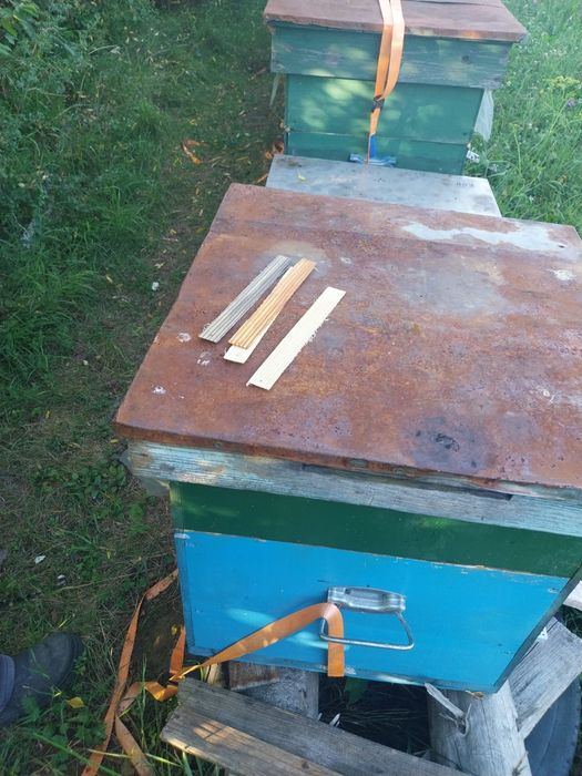 Vând 14 famili de albine foarte bune. CU SAU FĂRĂ LADĂ...AM 10 LĂZI PE 10 RAME CU 2 MAGAZII PE FIECARE.MAI  MULTE DETALI LA NR 0748788750.