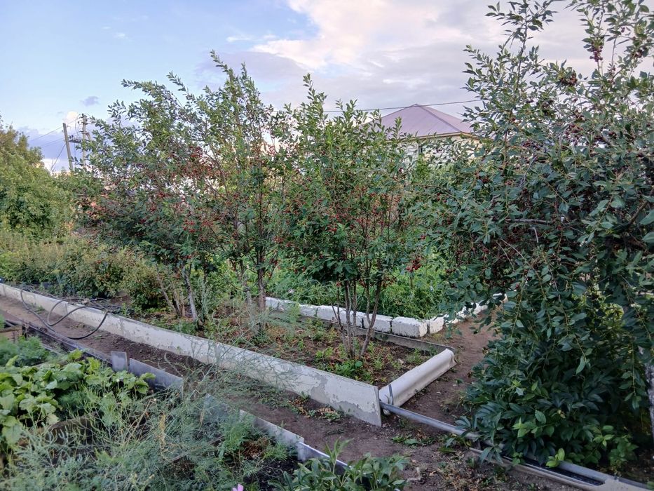 Продам дачу в черте города