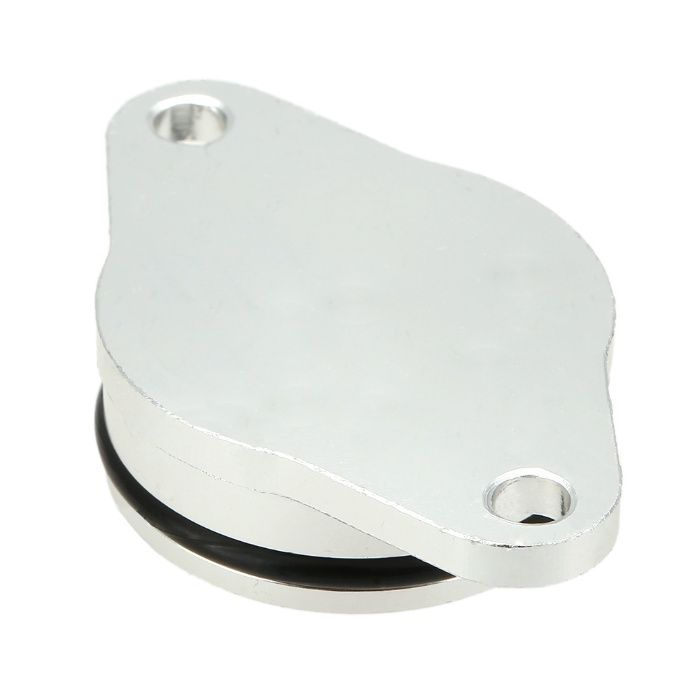 Dopuri Anulatoare Clapete Admisie Bmw Diesel - Swirl Flaps Orice BMW