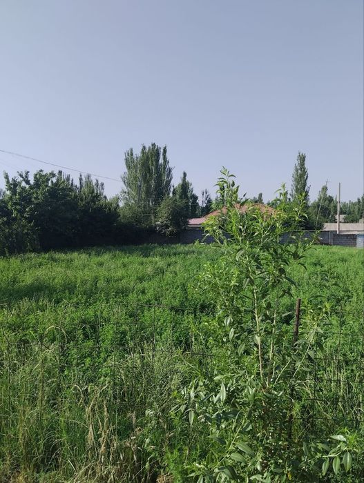 Xujjatlari joyida