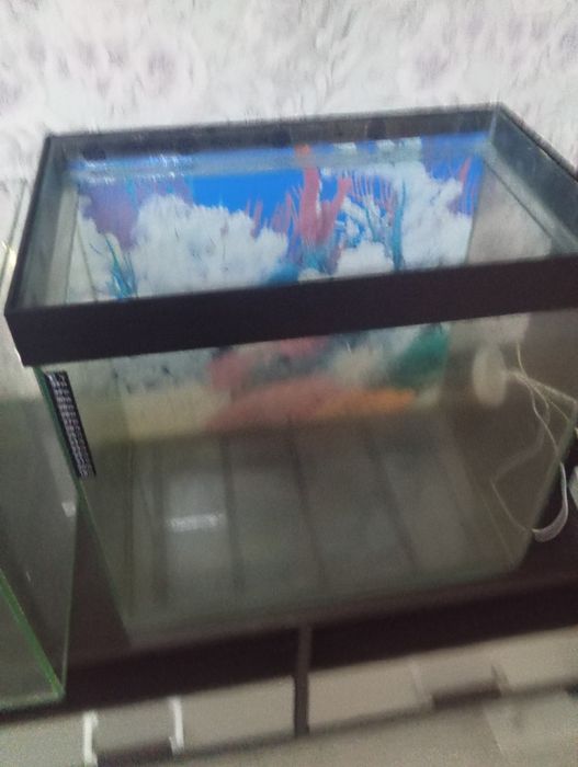 Продам два аквариума,