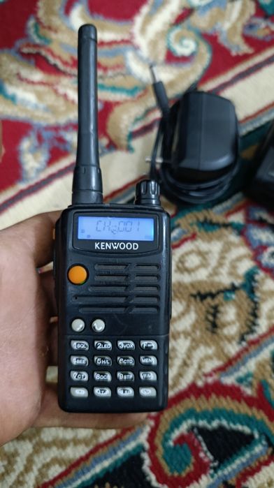 Продам Пацыя 4штуки