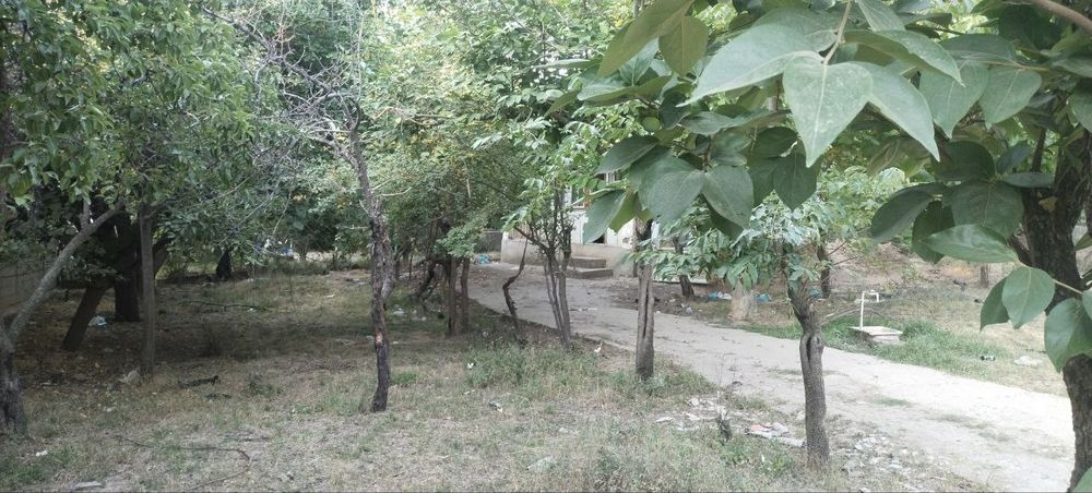 11 sotiq yer sotiladi