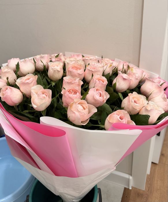 51 роза букет из 51 розы