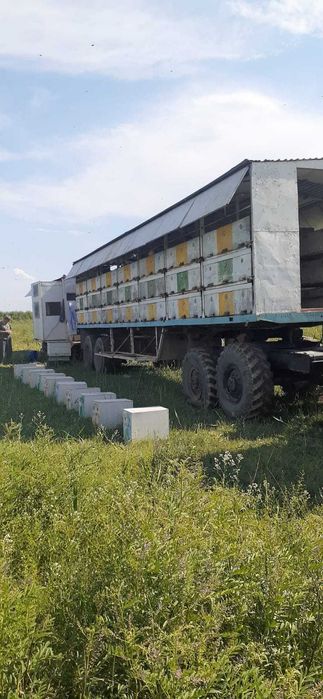 Продаже прицепов с пчёлами