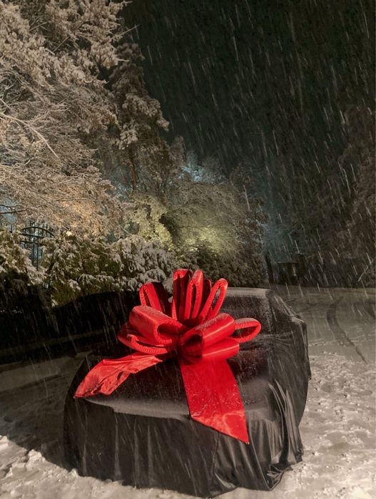 Автобант, бантик на машину, тент