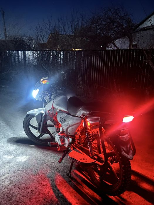 альфа шарк 125куб