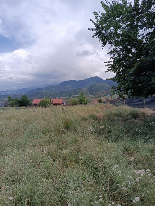 Участок на инкубаторе